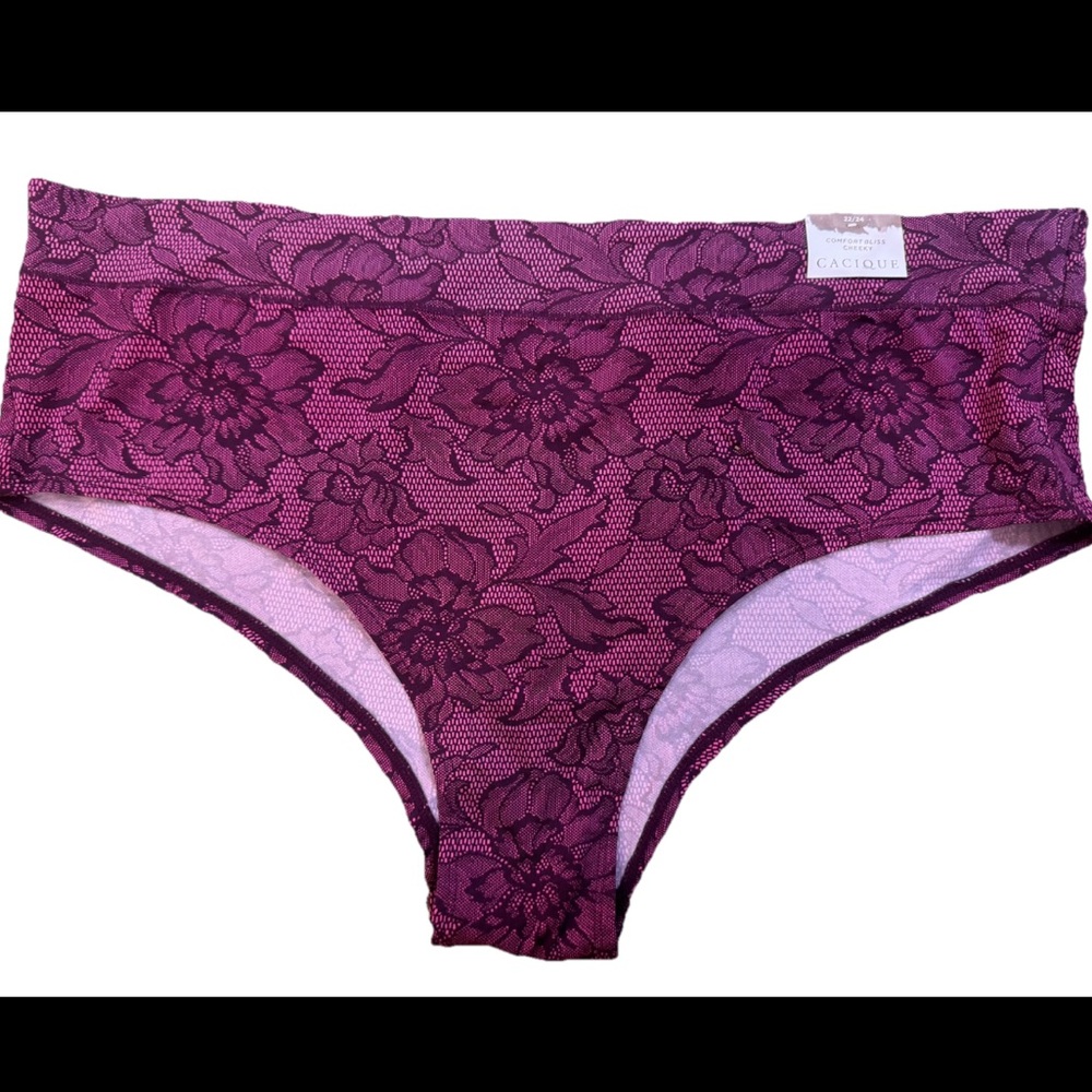 Cacique Pretty Purple Floral Comfort Bliss Cheeky Panty Plus 22/24